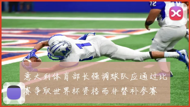 意大利体育部长强调球队应通过比赛争取世界杯资格而非替补参赛